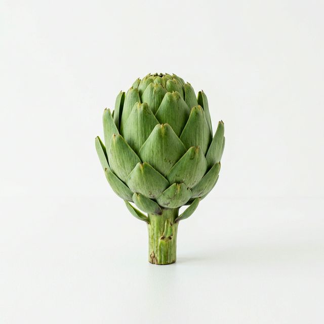 Fresh Green Artichoke